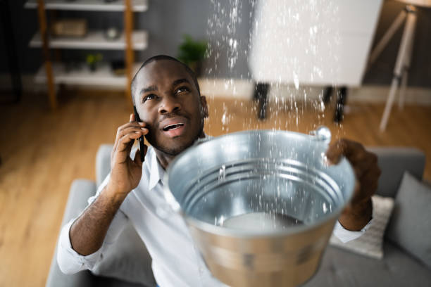 Best 24-hour water damage restoration  in Third Lake, IL