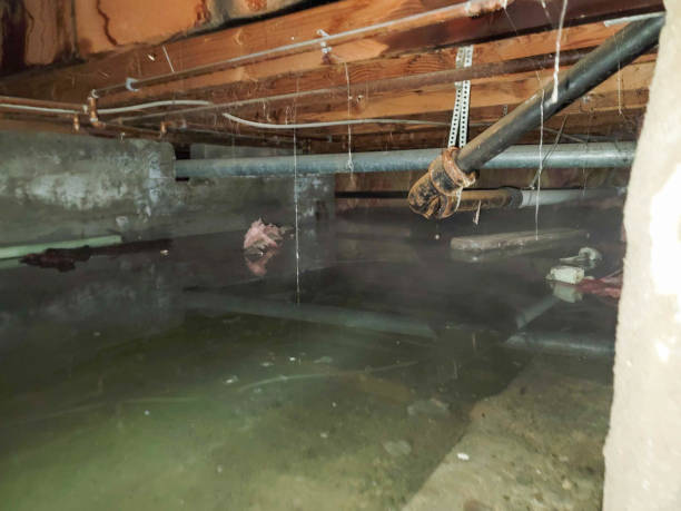 Best Local water damage restoration  in Third Lake, IL
