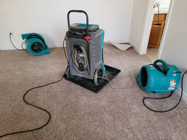 Best Residential water damage restoration  in Third Lake, IL