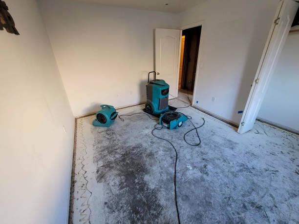 Best Water damage repair service  in Third Lake, IL