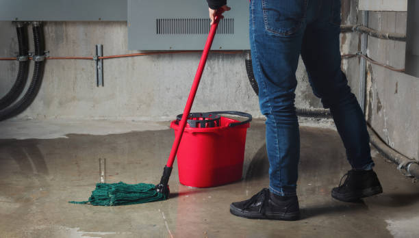  Third Lake, IL Water damage restoration Pros