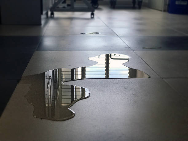 Third Lake, IL Water damage restoration Company
