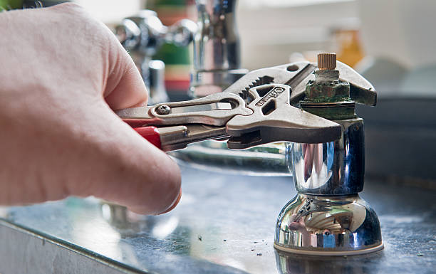 Best Water damage restoration experts  in Third Lake, IL