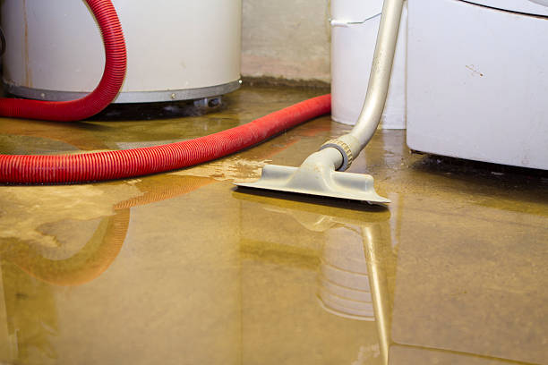Best Water damage restoration company  in Third Lake, IL