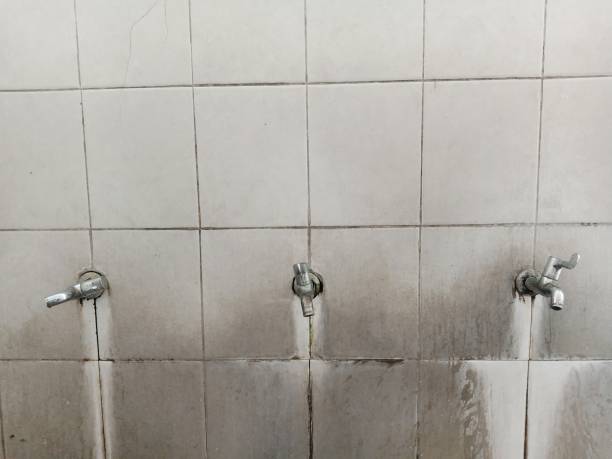 Best 24-hour water damage restoration  in Third Lake, IL