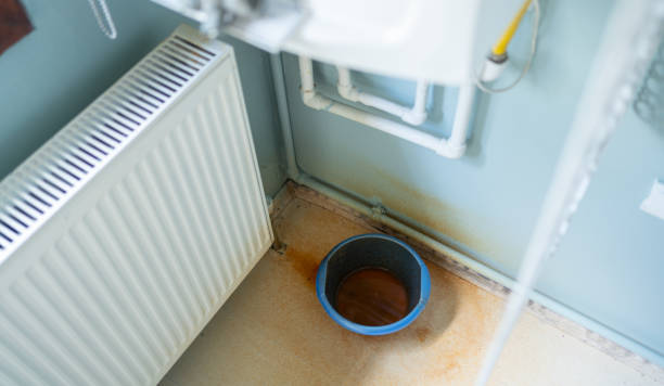 Best Water damage restoration specialists  in Third Lake, IL