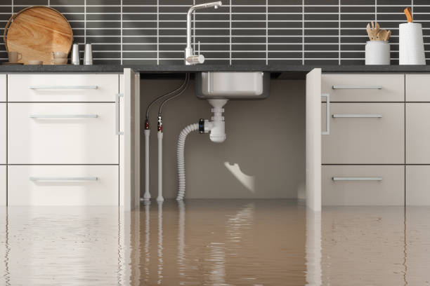 Best Water damage cleanup near me  in Third Lake, IL