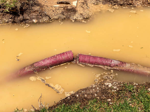 Best Flood restoration services  in Third Lake, IL