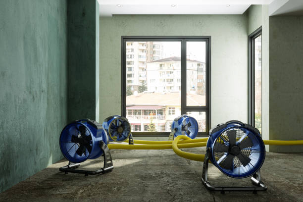 Best Ceiling water damage repair  in Third Lake, IL