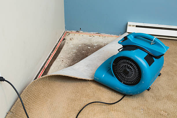Best Ceiling water damage repair  in Third Lake, IL